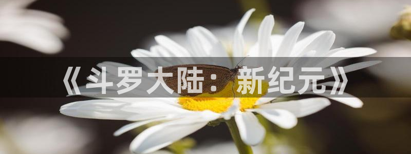 风车动漫(p)-专注动漫的门户