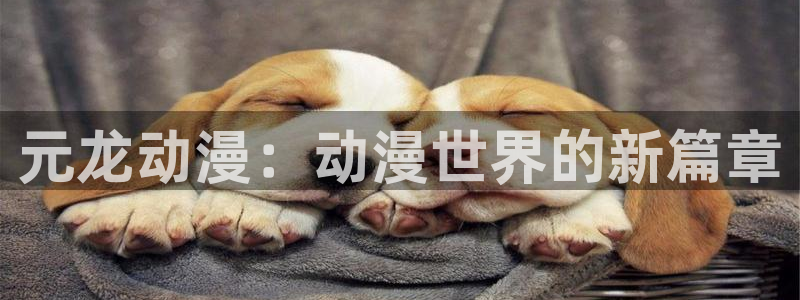 风车动漫2020手机版
