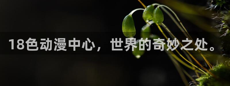 风车动漫在线观看免费完整版高清