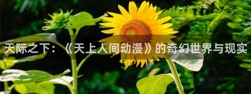 风车动漫在线看动画片