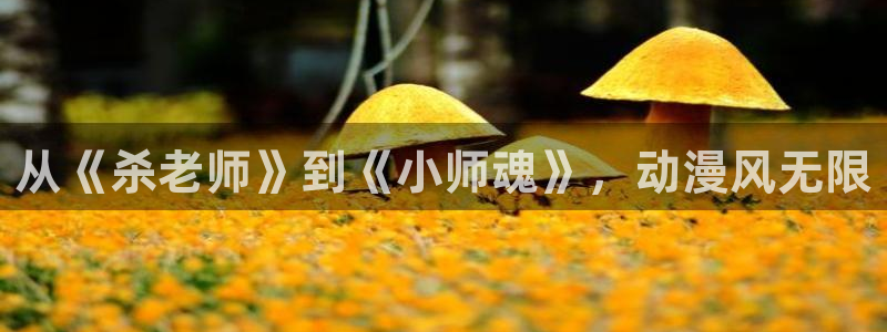 风车动漫手机版网址