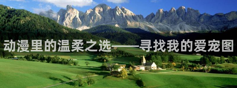 风车动漫专注的门户网站-专注的门户
