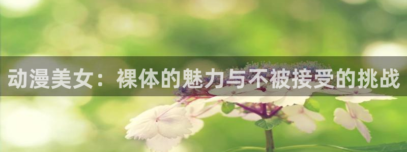 风车动漫正版官网