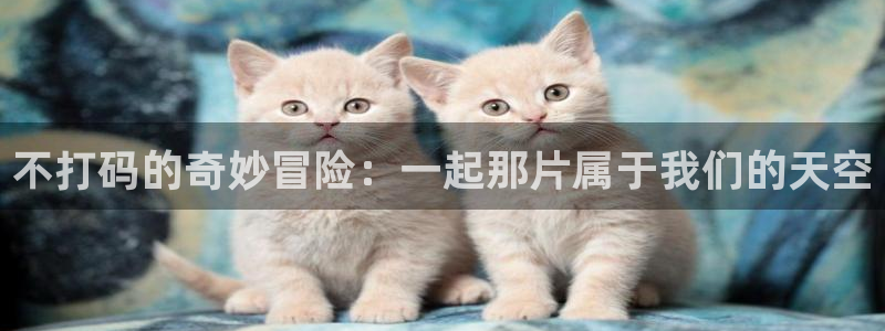 风车动漫正版在线观看