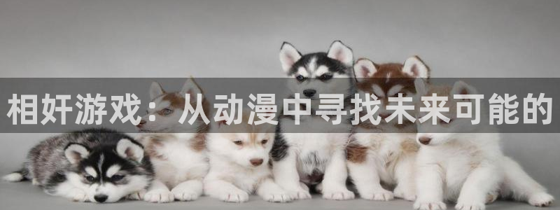 风车动漫门户网站