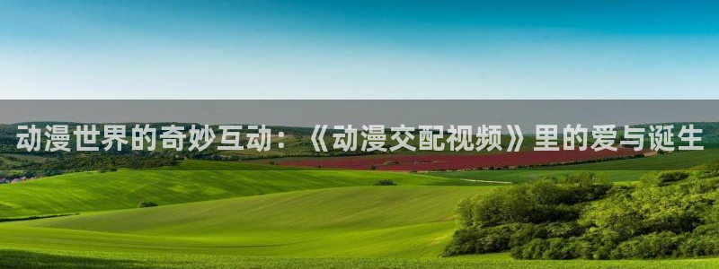 风车动漫手机专注动漫门户