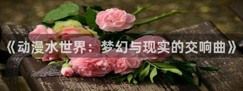 风车动漫免费观看