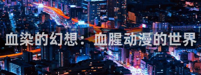 全职猎人风车动漫