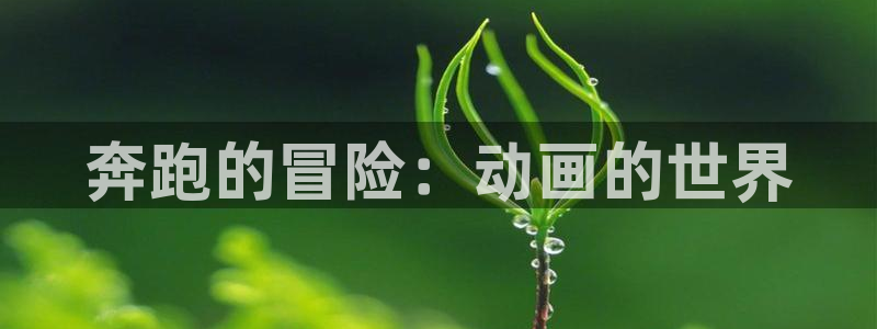 风车动漫dm530官网