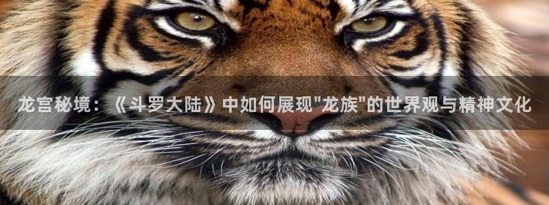 风车动漫免费观看高清：龙宫秘境：《斗罗大陆》中如何展现\