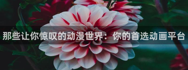 风车动漫网官网入口：那些让你惊叹的动漫世界：你的首选动画平台
