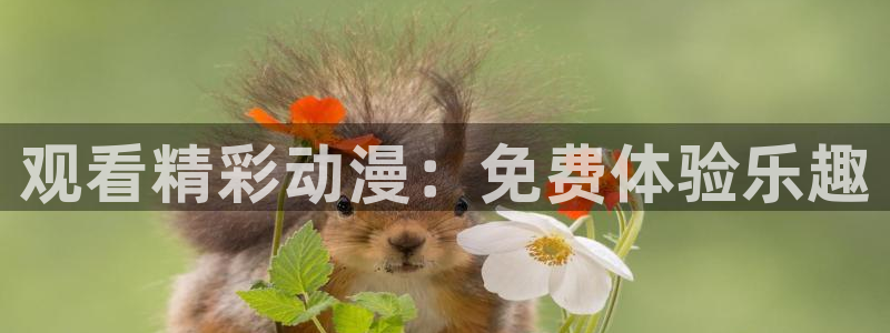风车动漫dm530p专注动漫的门户：观看精彩动漫：免费体验乐趣