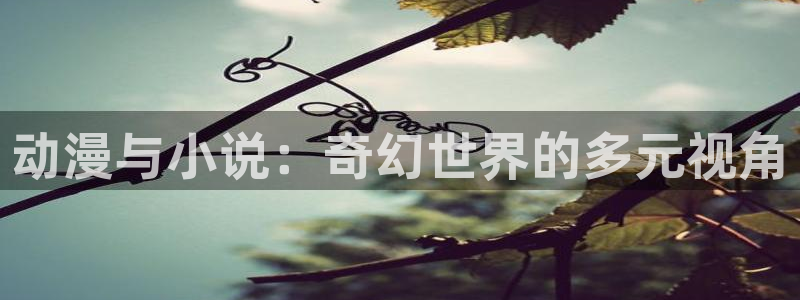 风车动漫网6：动漫与小说：奇幻世界的多元视角
