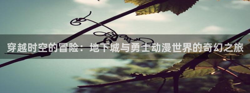 风车动漫(p)：穿越时空的冒险：地下城与勇士动漫世界的奇幻之旅