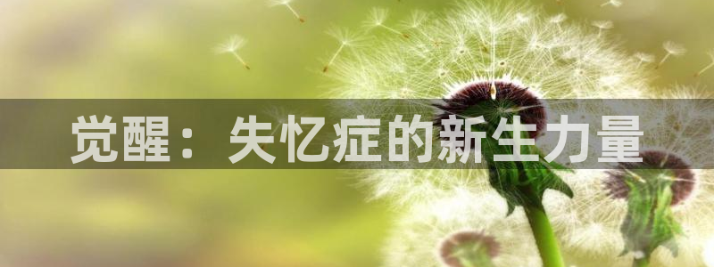汉化日记风车动漫：觉醒：失忆症的新生力量