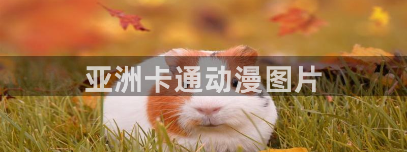 风车动漫官网在线入口