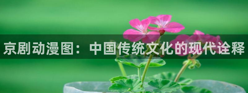 风车动漫专注于动漫门户网站