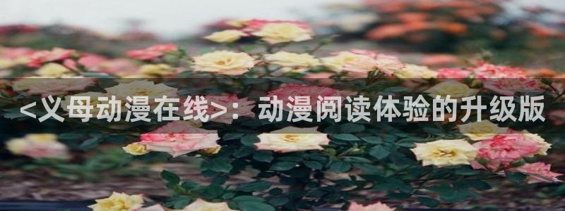 风车动漫专注网站