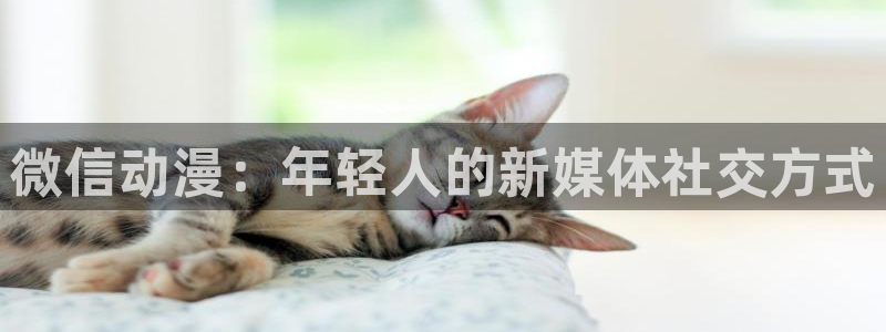 风车动漫pc端