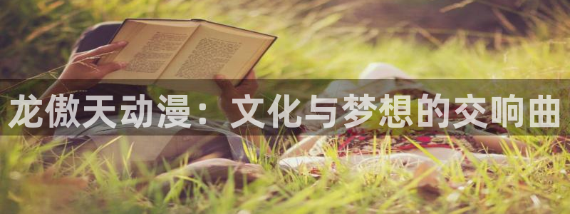风车动漫p无职转生：龙傲天动漫：文化与梦想的交响曲