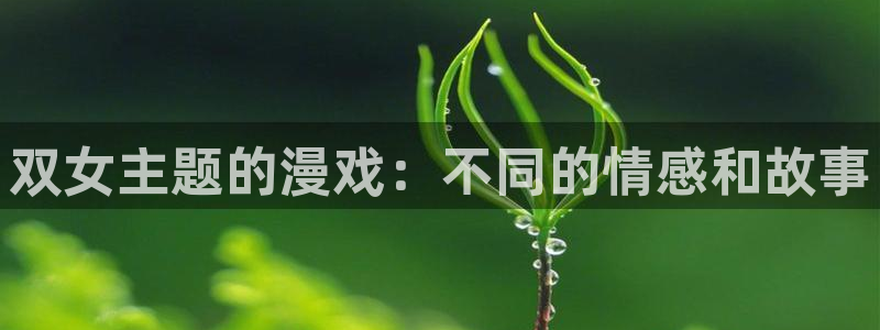 黑色五叶草风车动漫：双女主题的漫戏：不同的情感和故事