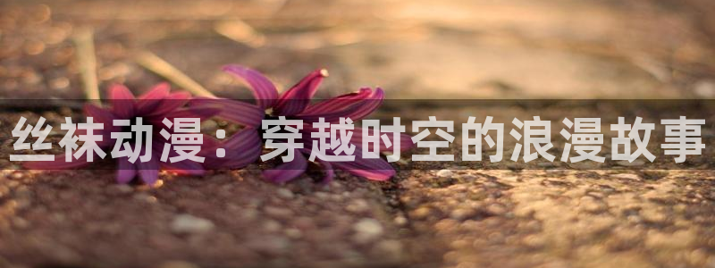 纯白轮舞曲风车动漫：丝袜动漫：穿越时空的浪漫故事