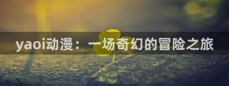 风车动漫最新动漫在线观看：yaoi动漫：一场奇幻的冒险之旅