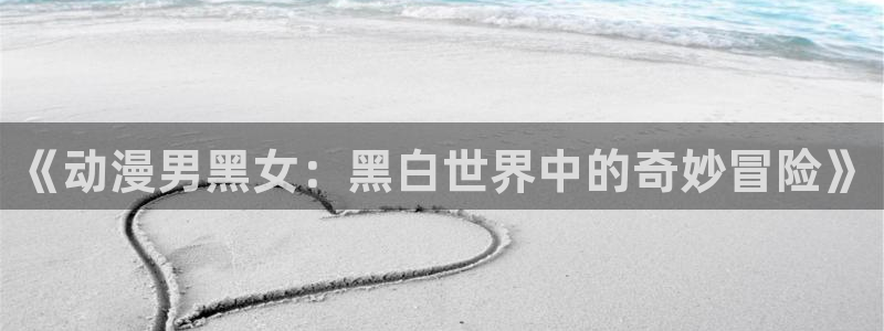 风车动漫番：《动漫男黑女：黑白世界中的奇妙冒险》