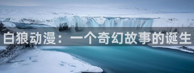 风车动漫(p)_：白狼动漫：一个奇幻故事的诞生