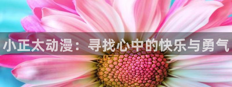 纤细的爱风车动漫：小正太动漫：寻找心中的快乐与勇气