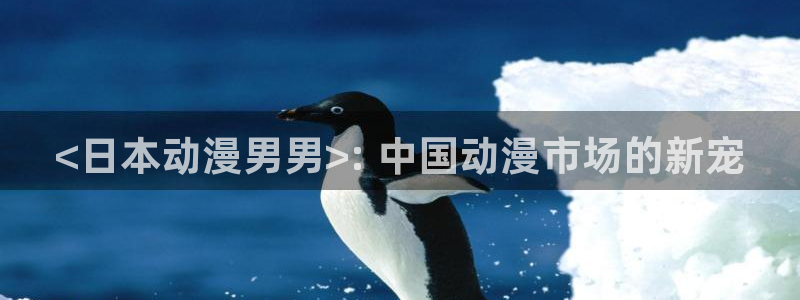 你的名字风车动漫：<日本动漫男男>: 中国动漫市场的新宠