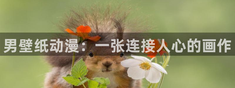 国家队02风车动漫：男壁纸动漫：一张连接人心的画作