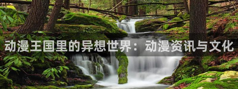 风车动漫xl上司：动漫王国里的异想世界：动漫资讯与文化