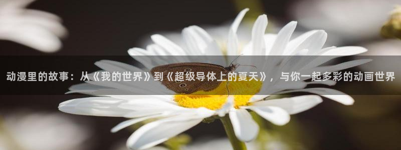 免费风车动漫：动漫里的故事：从《我的世界》到《超级导体上的夏天》，与你一起多彩的动画世界