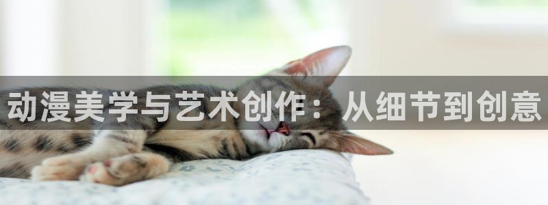 风车动漫软件下载：动漫美学与艺术创作：从细节到创意