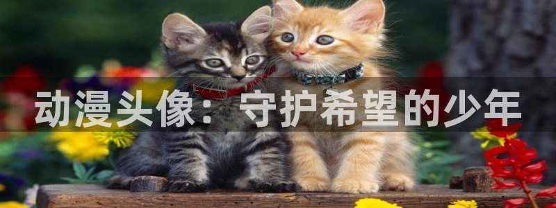 风车动漫 - 专注动漫的门户网站：动漫头像：守护希望的少年