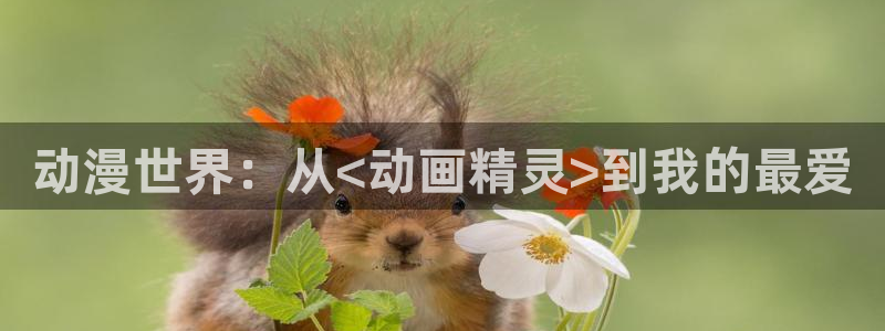 风车动漫暗：动漫世界：从<动画精灵>到我的最爱