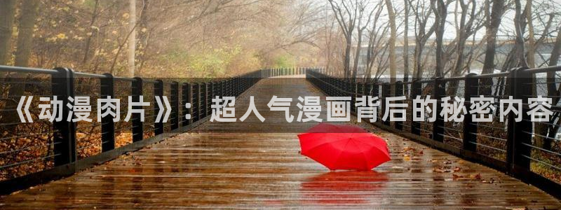 风车动漫网(p)_专注动漫的门户网站：《动漫肉片》：超人气漫画背后的秘密内容