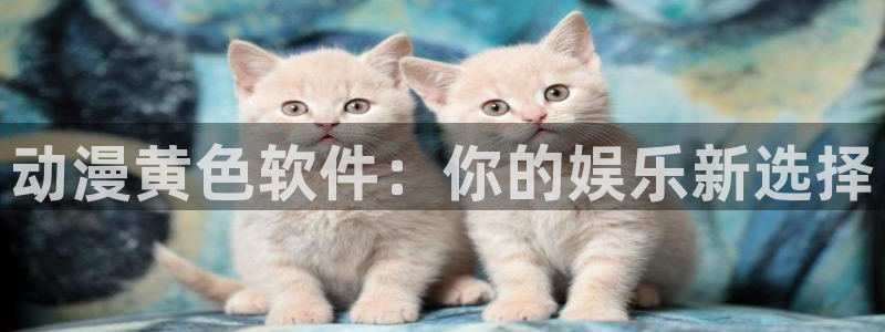风车动漫5：动漫黄色软件：你的娱乐新选择