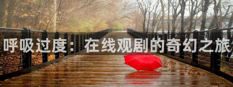 夜勤病栋观看风车动漫：呼吸过度：在线观剧的奇幻之旅