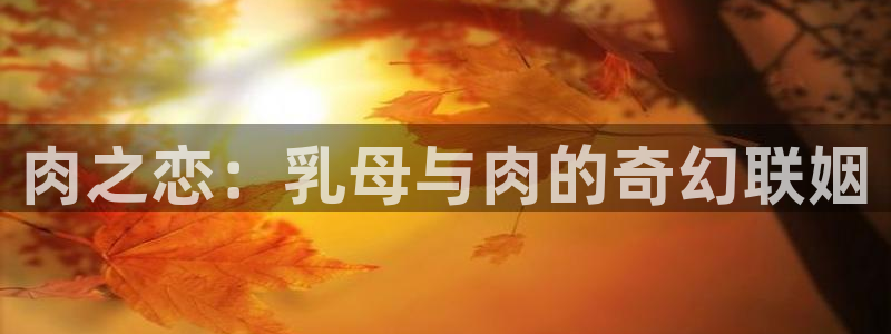小风车动漫：肉之恋：乳母与肉的奇幻联姻