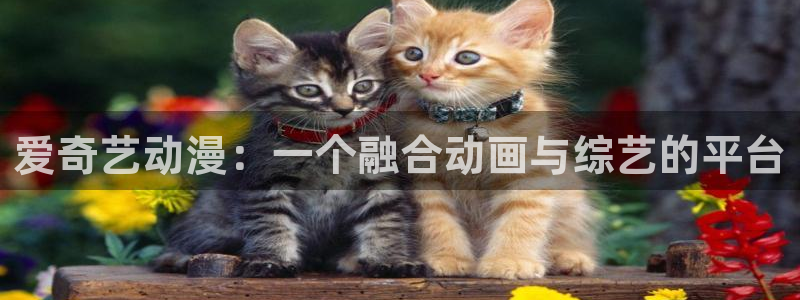 风车动漫电影：爱奇艺动漫：一个融合动画与综艺的平台