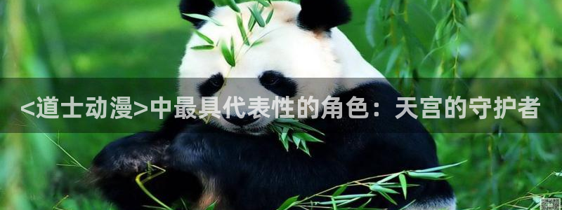 加速世界风车动漫：<道士动漫>中最具代表性的角色：天宫的守护者