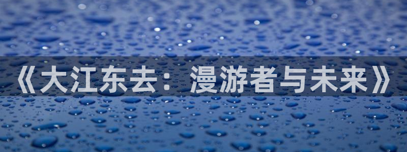 风车动漫dm530：《大江东去：漫游者与未来》