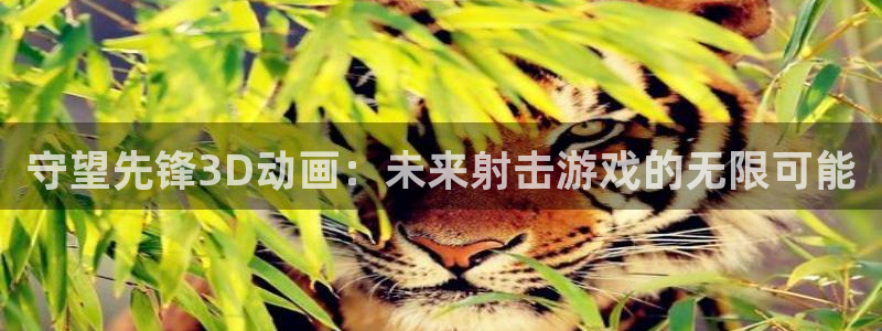 风车动漫壁纸：守望先锋3D动画：未来射击游戏的无限可能