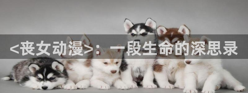 风车动漫网手机版在线：<丧女动漫>：一段生命的深思录