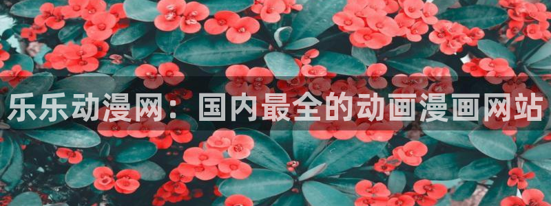 风车动漫官网手机在线：乐乐动漫网：国内最全的动画漫画网站