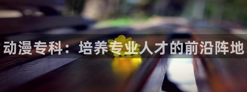 家有女友风车动漫：动漫专科：培养专业人才的前沿阵地
