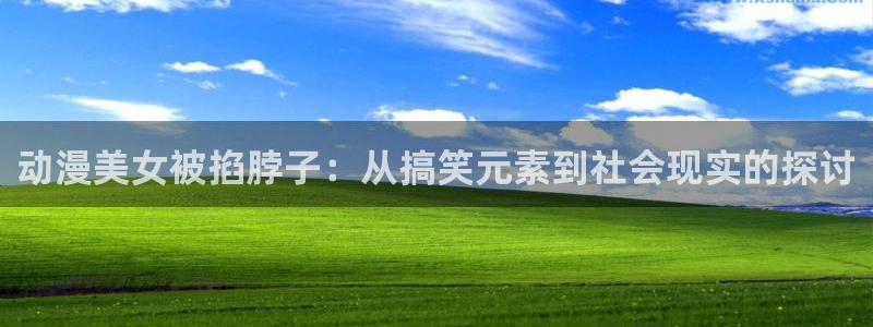 风车动漫电脑版下载