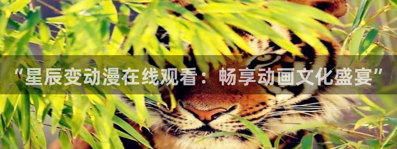 鸣鸟不飞风车动漫：“星辰变动漫在线观看：畅享动画文化盛宴”